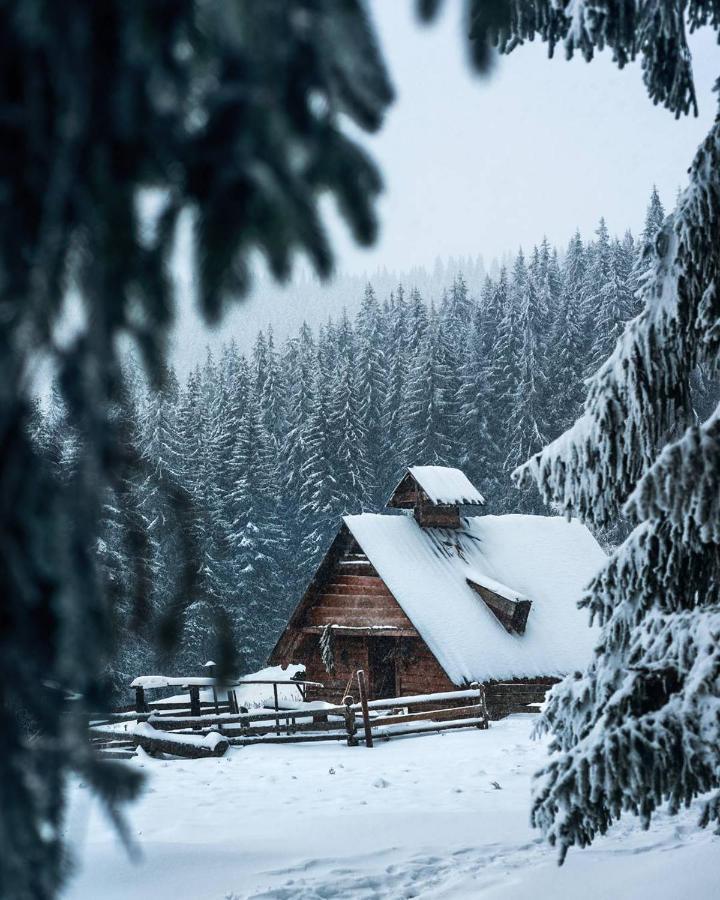 Villa Grand Skhidnytsia Bagian luar foto